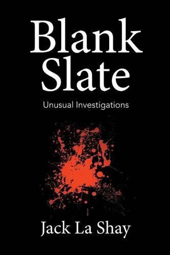 Cover image for Blank Slate: Unusual Investigations