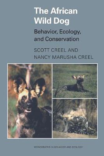 Cover image for The African Wild Dog: Behavior, Ecology, and Conservation