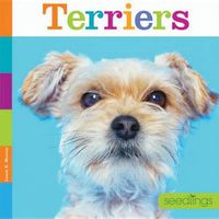 Cover image for Terriers