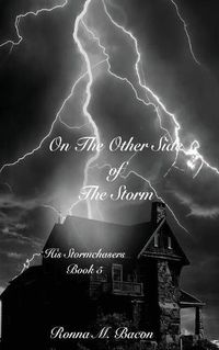 Cover image for On The Other Side of The Storm