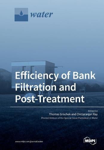 Cover image for Efficiency of Bank Filtration and Post-Treatment