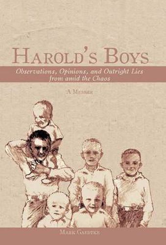 Cover image for Harold's Boys