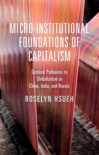 Cover image for Micro-institutional Foundations of Capitalism