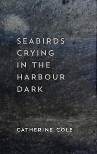 Cover image for Seabirds Crying in the Harbour Dark