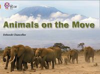 Cover image for Animals on the Move: Band 12/Copper