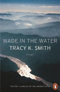 Cover image for Wade in the Water