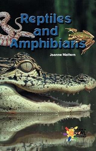 Reptiles and Amphibians