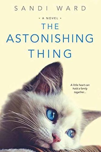 Cover image for The Astonishing Thing