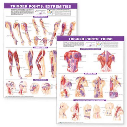 Cover image for Trigger Point Chart Set: Torso and Extremities