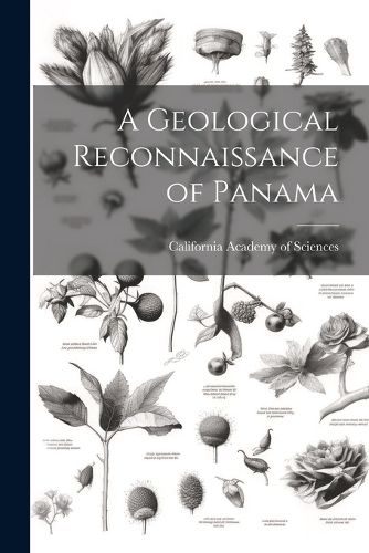 Cover image for A Geological Reconnaissance of Panama