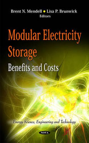 Modular Electricity Storage: Benefits & Costs