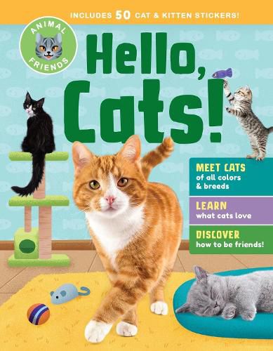 Animal Friends: Hello, Cats!