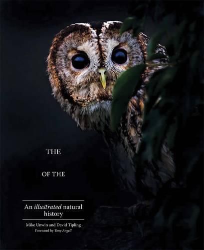 The Enigma of the Owl: An Illustrated Natural History