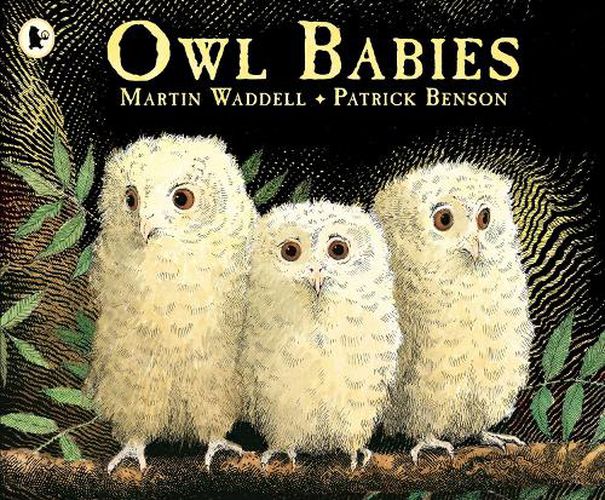 Cover image for Owl Babies