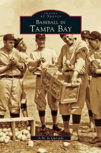 Cover image for Baseball in Tampa Bay