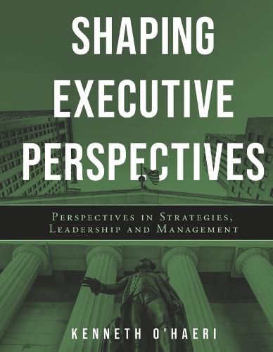 Cover image for Shaping Executive Perspectives