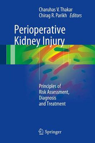 Cover image for Perioperative Kidney Injury: Principles of Risk Assessment, Diagnosis and Treatment