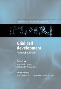 Cover image for Glial Cell Development: Basic Principles and Clinical Relevance