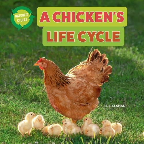 Cover image for A Chicken's Life Cycle