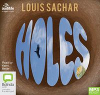 Cover image for Holes