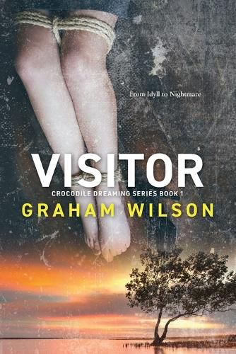 Cover image for Visitor