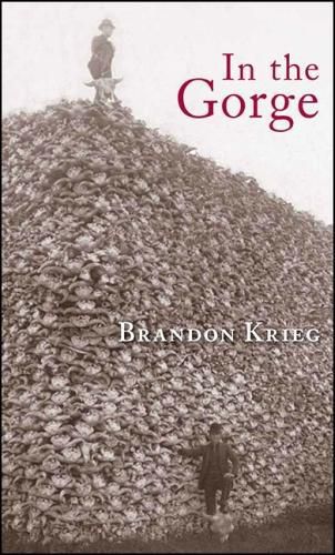 Cover image for In the Gorge: Poems