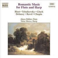 Cover image for Romantic Music For Flute And Harp