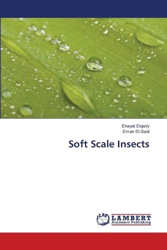 Cover image for Soft Scale Insects