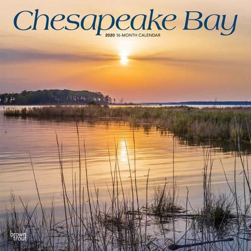 Cover image for Chesapeake Bay 2020 Square