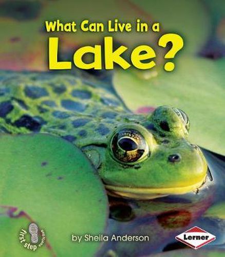 Cover image for What Can Live In A Lake