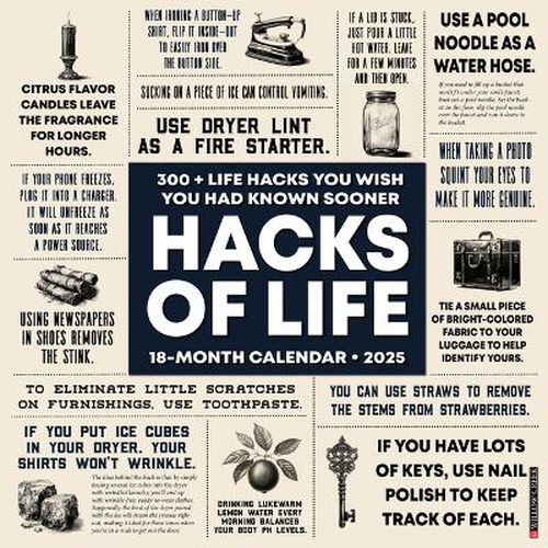 Hacks of Life 2025 12 X 12 Wall Calendar