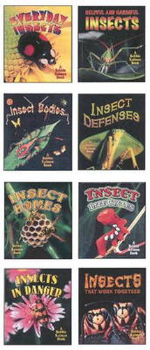 Cover image for World of Insects Series