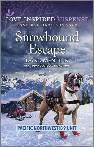 Cover image for Snowbound Escape