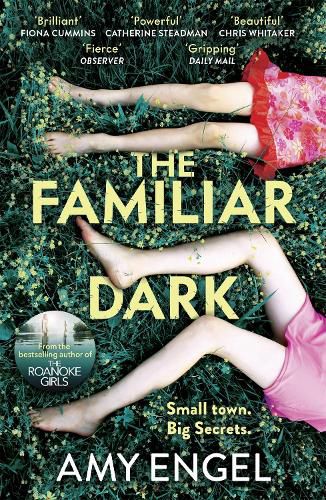 Cover image for The Familiar Dark: The must-read, utterly gripping thriller you won't be able to put down