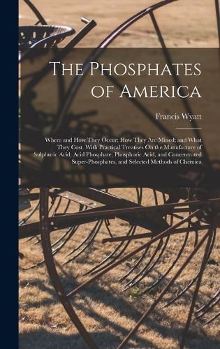 Cover image for The Phosphates of America