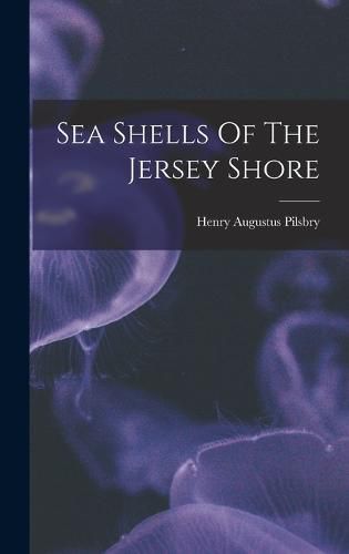 Cover image for Sea Shells Of The Jersey Shore