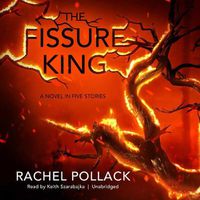 Cover image for The Fissure King: A Novel in Five Stories