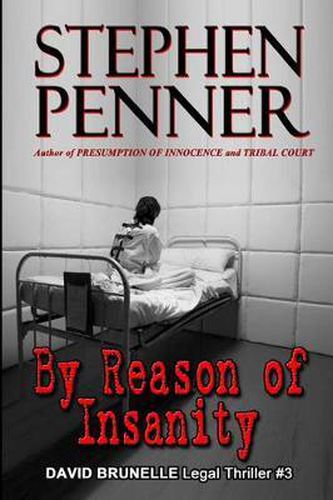 Cover image for By Reason of Insanity: David Brunelle Legal Thriller #3