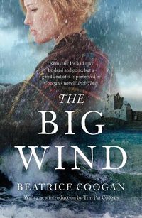 Cover image for The Big Wind