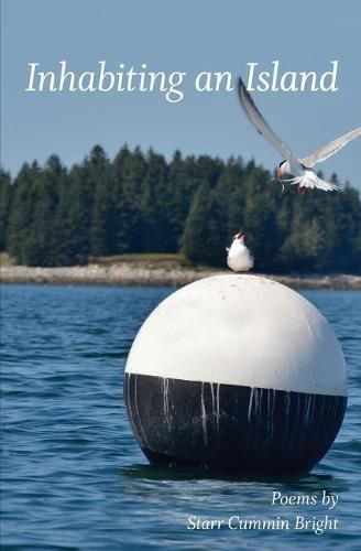 Cover image for Inhabiting an Island