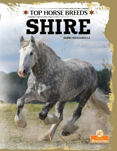 Cover image for Shire