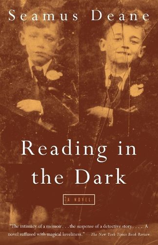Cover image for Reading in the Dark: A Novel