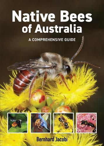 Cover image for Native Bees of Australia