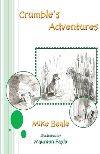 Cover image for Crumble's Adventures