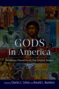 Cover image for Gods in America: Religious Pluralism in the United States