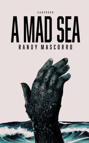 Cover image for A Mad Sea