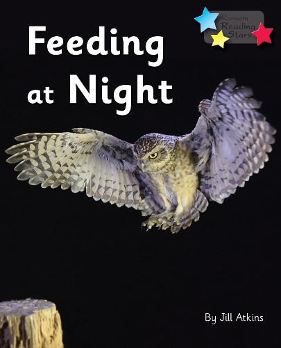 Cover image for Feeding at Night: Phonics Phase 3