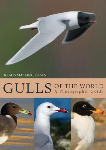 Cover image for Gulls of the World: A Photographic Guide