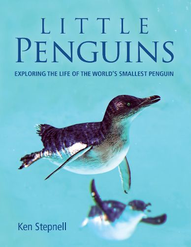 Cover image for Little Penguins