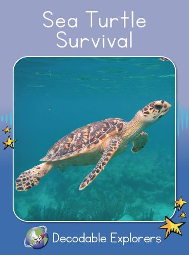 Cover image for Sea Turtle Survival